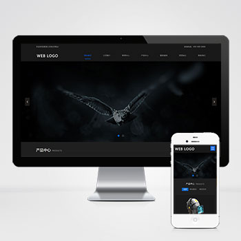 响应式高端摄影网站  黑色酷炫数码摄影网站源码